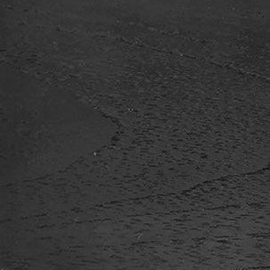 CITRA BOOKCASE WITH 2 DOORS