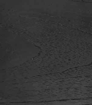 CITRA BOOKCASE WITH 2 DOORS