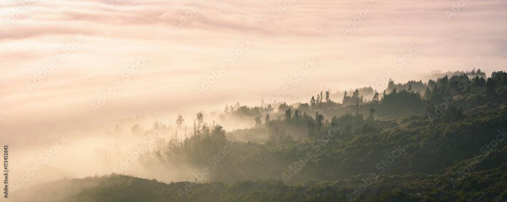 Hilly Javanese landscape with mist and trees at dawn